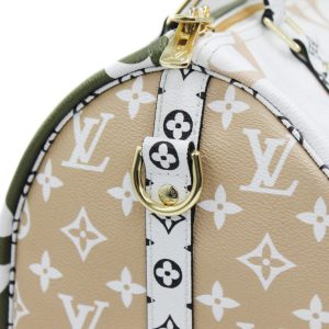 Сумка Louis Vuitton Speedy