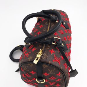 Сумка Louis Vuitton Speedy