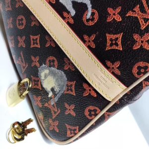 Сумка Louis Vuitton Speedy