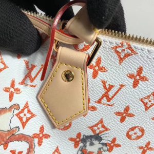 Сумка Louis Vuitton Speedy