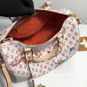 Сумка Louis Vuitton Speedy