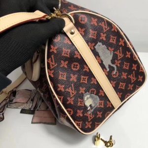 Сумка Louis Vuitton Speedy