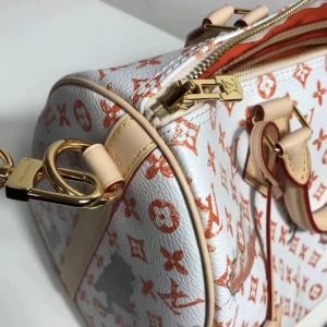 Сумка Louis Vuitton Speedy