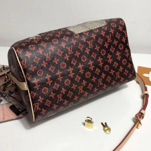 Сумка Louis Vuitton Speedy