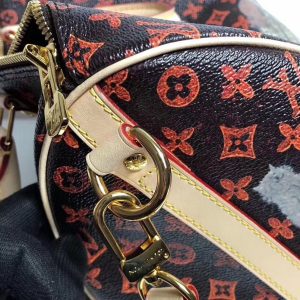 Сумка Louis Vuitton Speedy