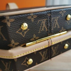 Сумка Louis Vuitton Petite Boite Chapeau