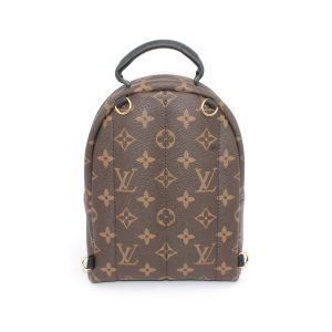 Рюкзак Louis Vuitton Palm Springs