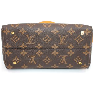 Рюкзак Louis Vuitton Moon