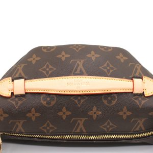 Сумка на пояс Louis Vuitton Bumbag