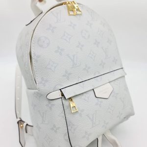 Рюкзак Louis Vuitton Palm Springs