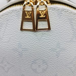 Рюкзак Louis Vuitton Palm Springs