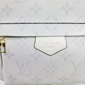 Рюкзак Louis Vuitton Palm Springs