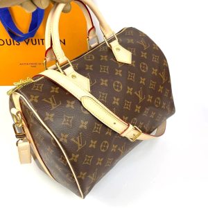 Сумка Louis Vuitton Speedy