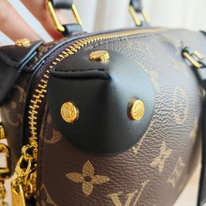 Сумка Louis Vuitton Petite Malle Souple