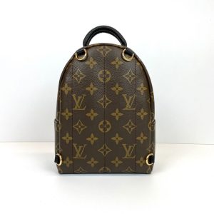 Рюкзак Louis Vuitton Palm Springs