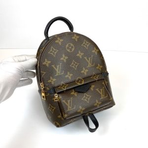 Рюкзак Louis Vuitton Palm Springs