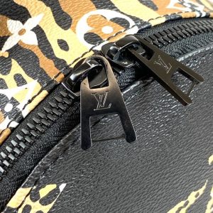 Рюкзак Louis Vuitton Palm Springs