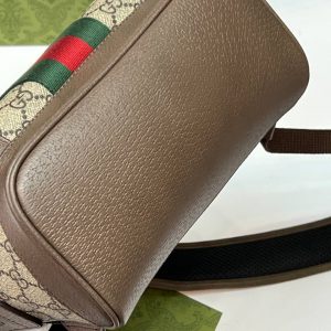 Рюкзак Gucci Ophidia GG