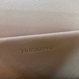 Сумка женская Celine Classique Triomphe