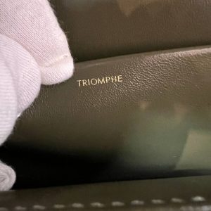 Сумка женская Celine Classique Triomphe