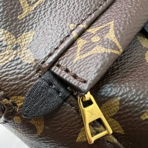 Рюкзак Louis Vuitton Palm Springs