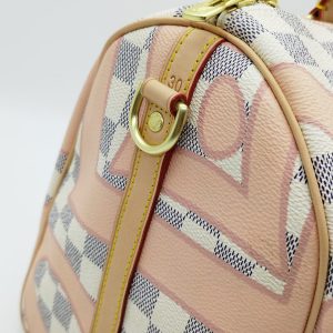 Сумка Louis Vuitton Speedy