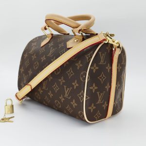 Сумка Louis Vuitton Speedy