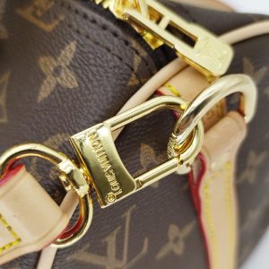 Сумка Louis Vuitton Speedy