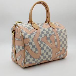 Сумка Louis Vuitton Speedy