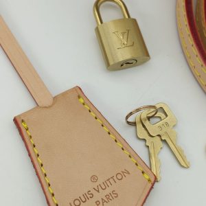 Сумки Louis Vuitton Alma PM