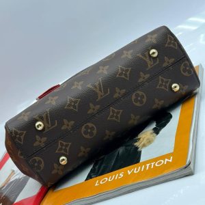 Сумка Louis Vuitton Cluny