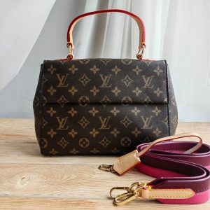 Сумка Louis Vuitton Cluny