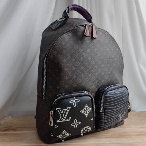 Рюкзак Louis Vuitton Multipocket