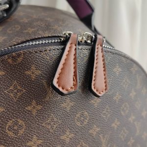 Рюкзак Louis Vuitton Multipocket