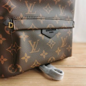 Рюкзак Louis Vuitton Palm Springs Mini