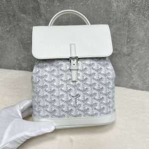 Рюкзак Goyard Alpin Mini Backpack