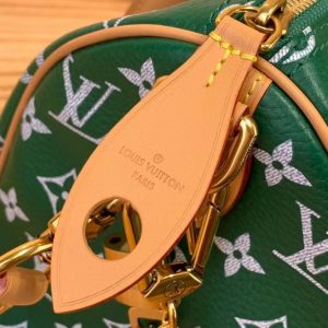 Сумка Louis Vuitton Speedy