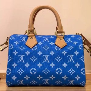 Сумка Louis Vuitton Speedy