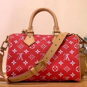 Сумка Louis Vuitton Speedy