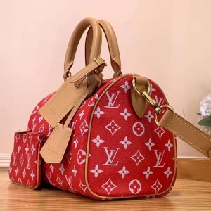 Сумка Louis Vuitton Speedy