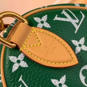 Сумка Louis Vuitton Speedy