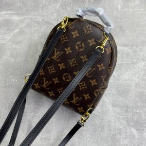 Рюкзак Louis Vuitton Palm Springs